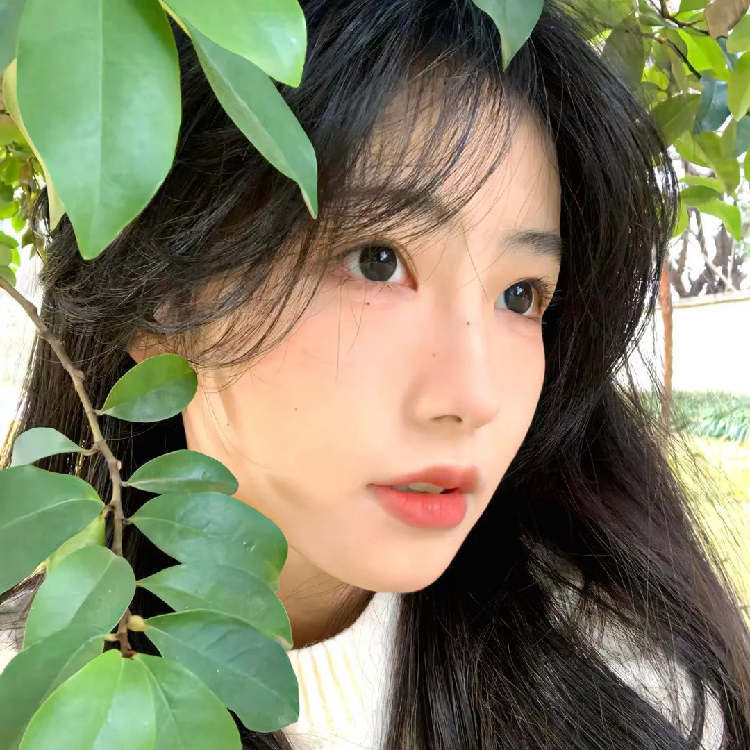 华灯初上第二季